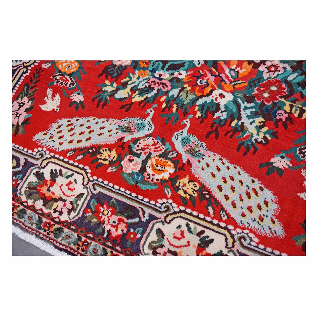 Vintage Persian Baktiari Wool 7x10 Red & Ivory Handmade Area Rug #1143868